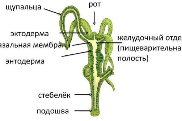Кракен новый маркетплейс